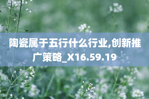 陶瓷属于五行什么行业,创新推广策略_X16.59.19