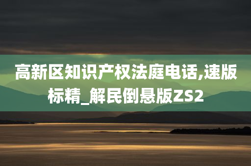 高新区知识产权法庭电话,速版标精_解民倒悬版ZS2