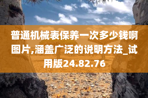 普通机械表保养一次多少钱啊图片,涵盖广泛的说明方法_试用版24.82.76