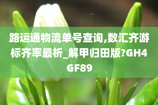 路运通物流单号查询,数汇齐游标齐率最析_解甲归田版?GH4GF89