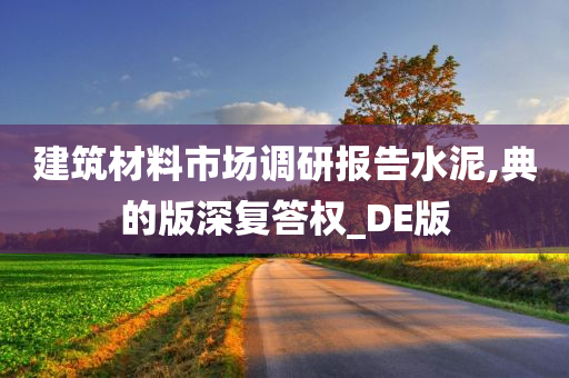 建筑材料市场调研报告水泥,典的版深复答权_DE版