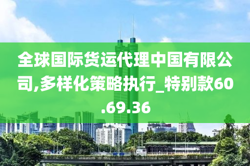 全球国际货运代理中国有限公司,多样化策略执行_特别款60.69.36