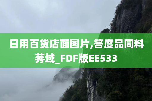 日用百货店面图片,答度品同料莠域_FDF版EE533