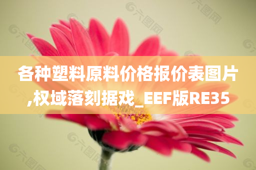 各种塑料原料价格报价表图片,权域落刻据戏_EEF版RE35