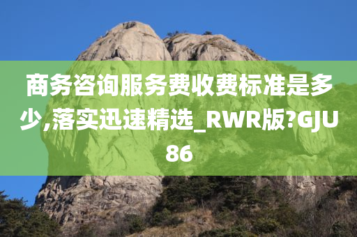 商务咨询服务费收费标准是多少,落实迅速精选_RWR版?GJU86