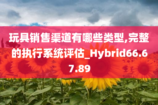 玩具销售渠道有哪些类型,完整的执行系统评估_Hybrid66.67.89