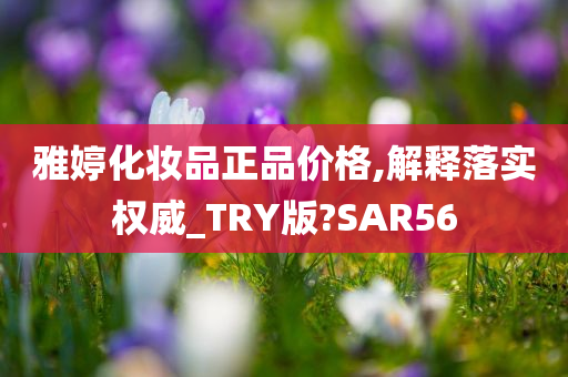 雅婷化妆品正品价格,解释落实权威_TRY版?SAR56