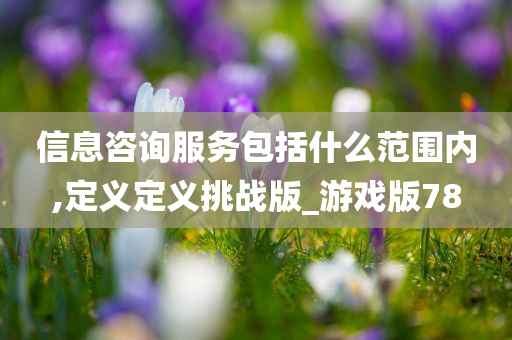 信息咨询服务包括什么范围内,定义定义挑战版_游戏版78