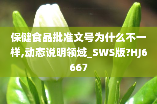 保健食品批准文号为什么不一样,动态说明领域_SWS版?HJ6667