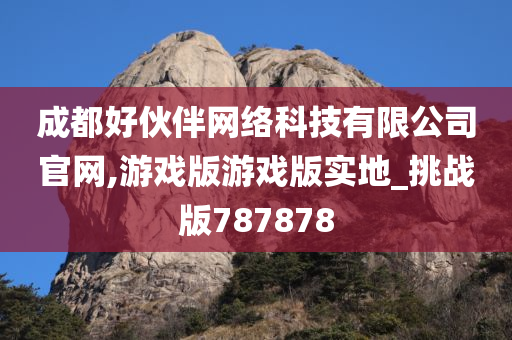 成都好伙伴网络科技有限公司官网,游戏版游戏版实地_挑战版787878