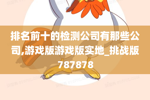 排名前十的检测公司有那些公司,游戏版游戏版实地_挑战版787878