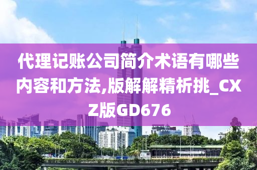 代理记账公司简介术语有哪些内容和方法,版解解精析挑_CXZ版GD676