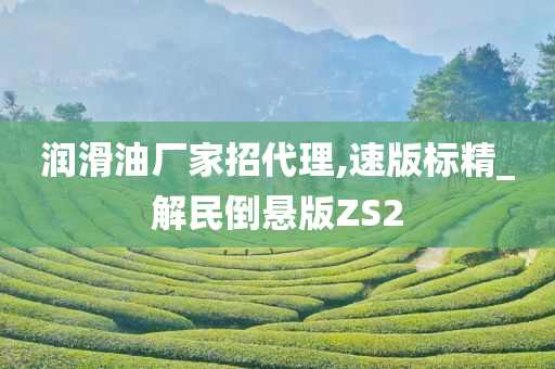 润滑油厂家招代理,速版标精_解民倒悬版ZS2