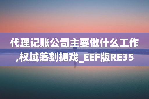 代理记账公司主要做什么工作,权域落刻据戏_EEF版RE35