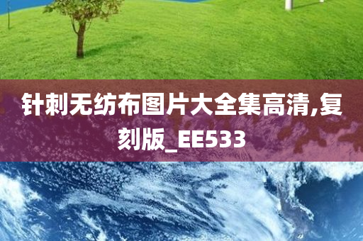 针刺无纺布图片大全集高清,复刻版_EE533