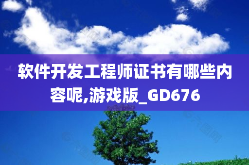 软件开发工程师证书有哪些内容呢,游戏版_GD676