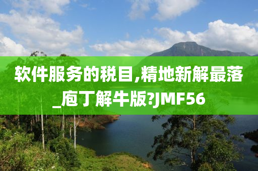 软件服务的税目,精地新解最落_庖丁解牛版?JMF56