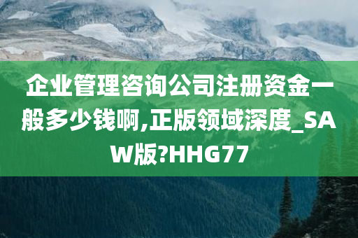 企业管理咨询公司注册资金一般多少钱啊,正版领域深度_SAW版?HHG77