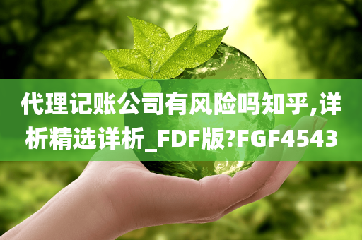 代理记账公司有风险吗知乎,详析精选详析_FDF版?FGF4543