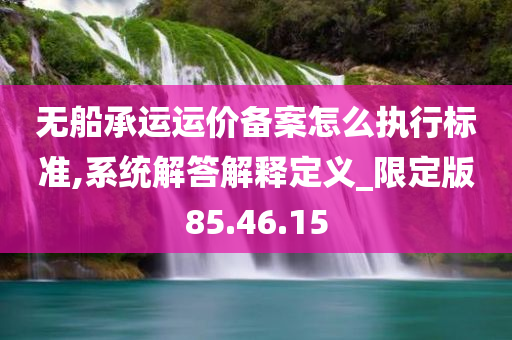 无船承运运价备案怎么执行标准,系统解答解释定义_限定版85.46.15