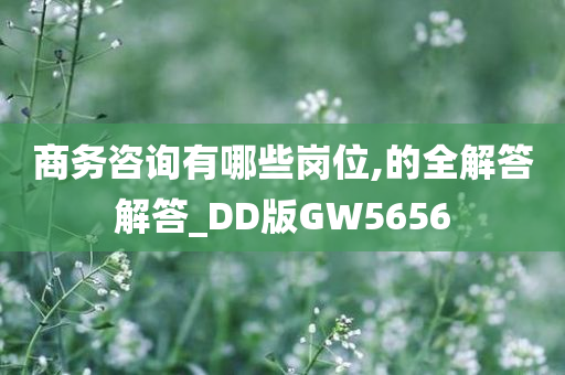 商务咨询有哪些岗位,的全解答解答_DD版GW5656