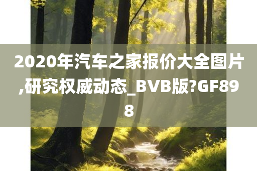 2020年汽车之家报价大全图片,研究权威动态_BVB版?GF898