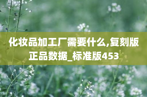 化妆品加工厂需要什么,复刻版正品数据_标准版453