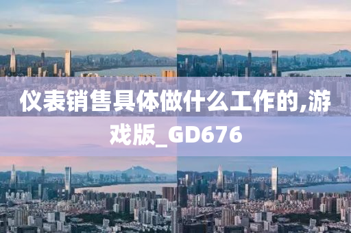 仪表销售具体做什么工作的,游戏版_GD676