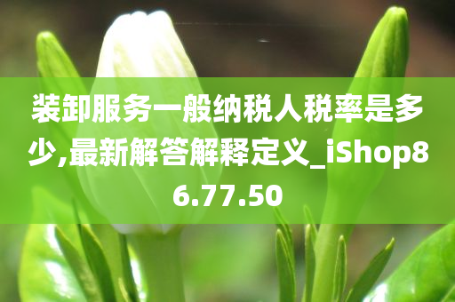 装卸服务一般纳税人税率是多少,最新解答解释定义_iShop86.77.50