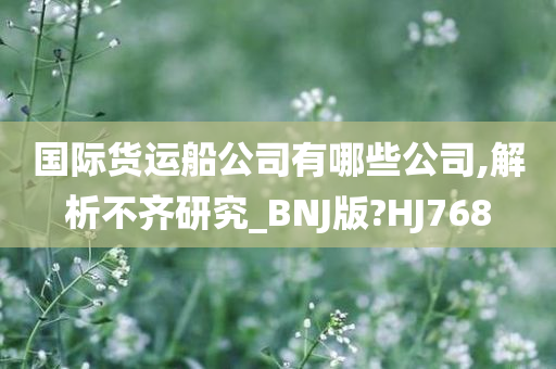 国际货运船公司有哪些公司,解析不齐研究_BNJ版?HJ768