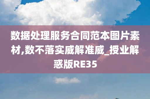 数据处理服务合同范本图片素材,数不落实威解准威_授业解惑版RE35