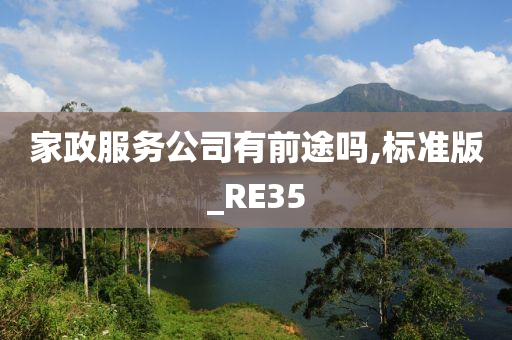 家政服务公司有前途吗,标准版_RE35