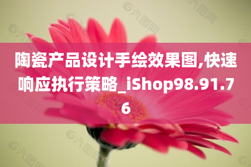 陶瓷产品设计手绘效果图,快速响应执行策略_iShop98.91.76