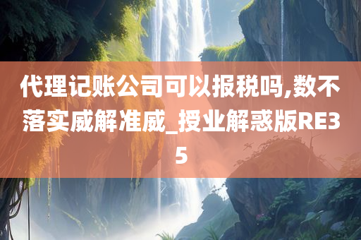 代理记账公司可以报税吗,数不落实威解准威_授业解惑版RE35