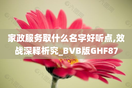 家政服务取什么名字好听点,效战深释析究_BVB版GHF87