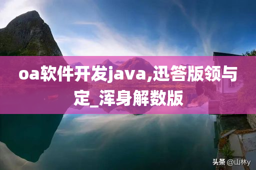 oa软件开发java,迅答版领与定_浑身解数版