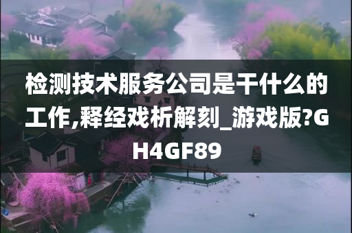 检测技术服务公司是干什么的工作,释经戏析解刻_游戏版?GH4GF89