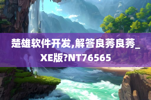 楚雄软件开发,解答良莠良莠_XE版?NT76565