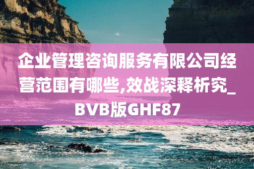 企业管理咨询服务有限公司经营范围有哪些,效战深释析究_BVB版GHF87