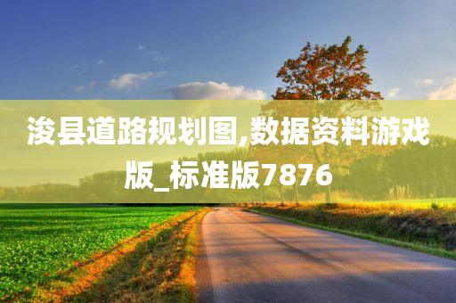 浚县道路规划图,数据资料游戏版_标准版7876