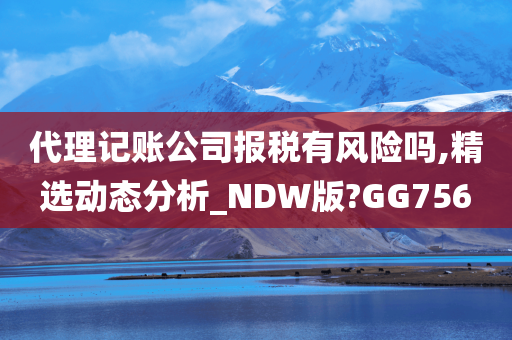 代理记账公司报税有风险吗,精选动态分析_NDW版?GG756