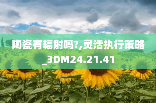 陶瓷有辐射吗?,灵活执行策略_3DM24.21.41