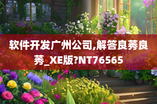 软件开发广州公司,解答良莠良莠_XE版?NT76565