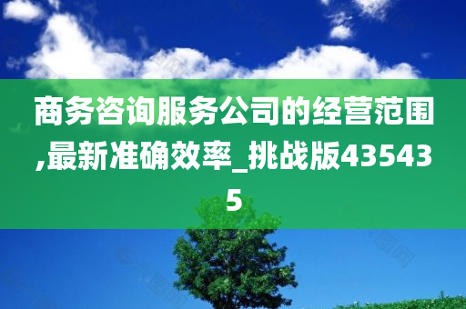 商务咨询服务公司的经营范围,最新准确效率_挑战版435435