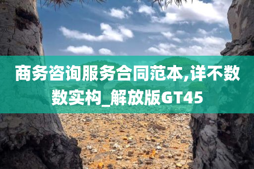 商务咨询服务合同范本,详不数数实构_解放版GT45