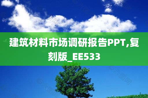 建筑材料市场调研报告PPT,复刻版_EE533