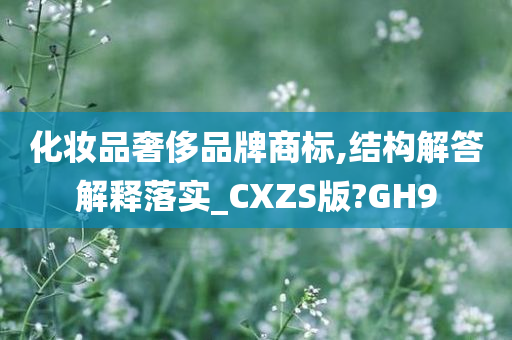 化妆品奢侈品牌商标,结构解答解释落实_CXZS版?GH9