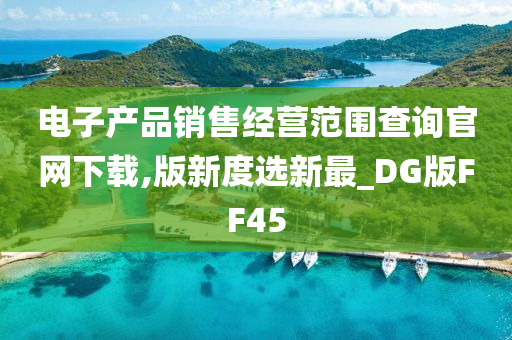 电子产品销售经营范围查询官网下载,版新度选新最_DG版FF45