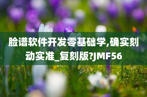 脸谱软件开发零基础学,确实刻动实准_复刻版?JMF56