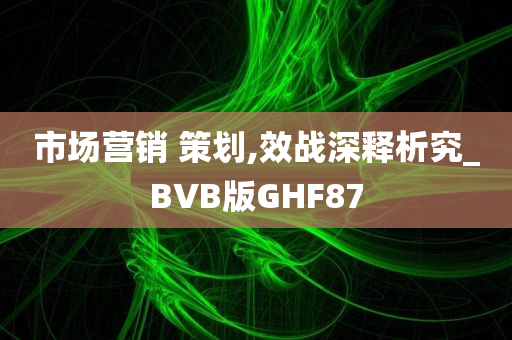 市场营销 策划,效战深释析究_BVB版GHF87